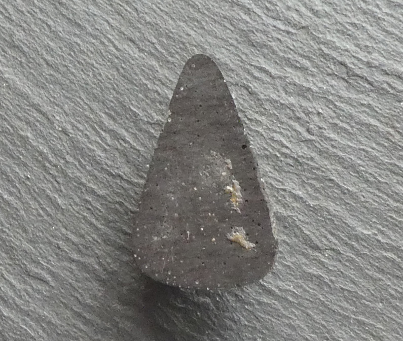 KIng's Manassa Turquoise