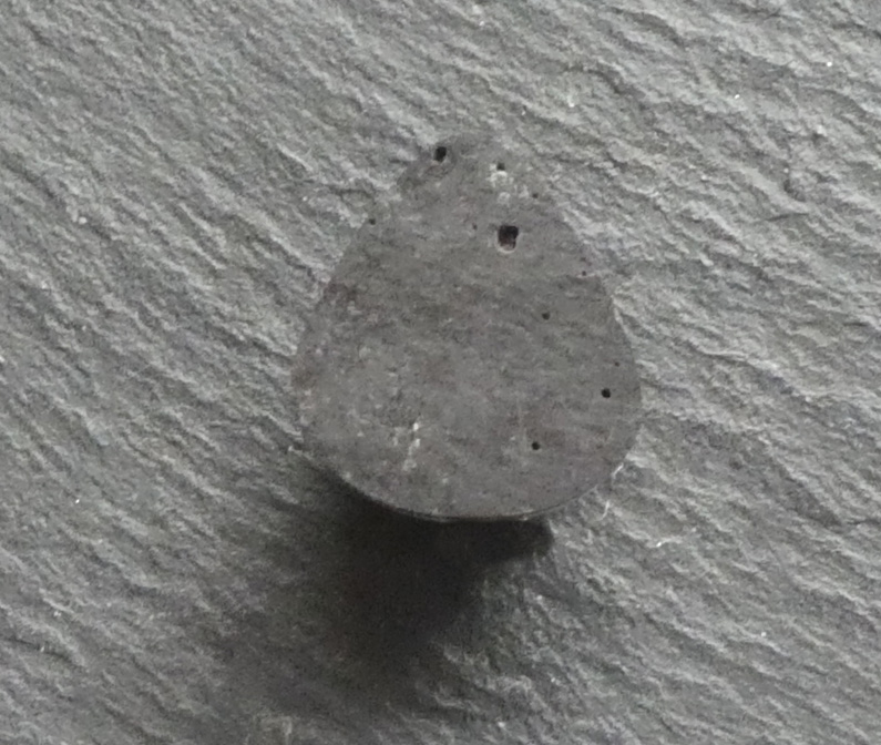 KIng's Manassa Turquoise