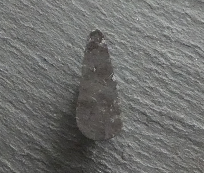 KIng's Manassa Turquoise