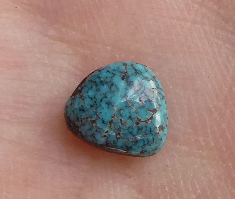 Lone Mountain Turquoise