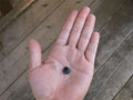 apacheblue500-7