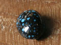 landerblue160-4