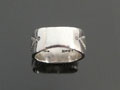 perryshorty-coinsilverbr001-4